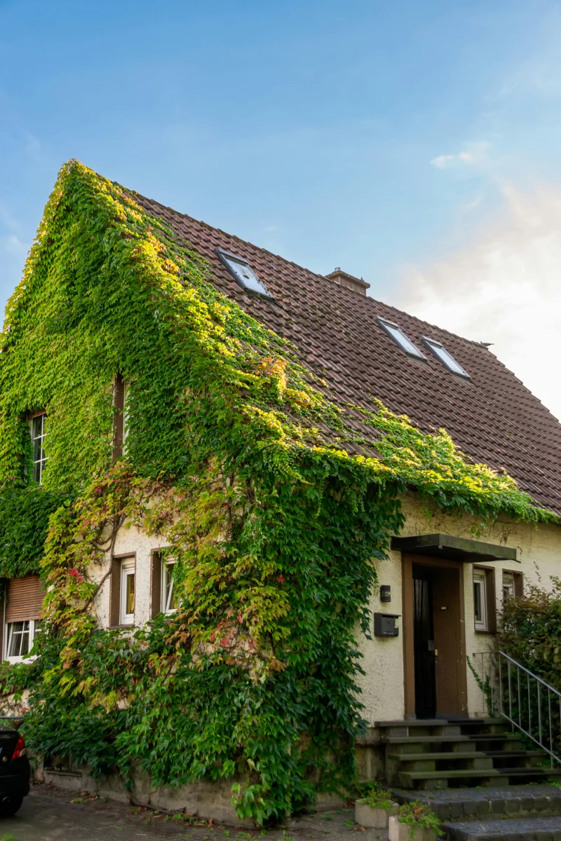 Ettelbrück